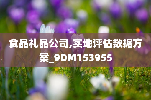 食品礼品公司,实地评估数据方案_9DM153955