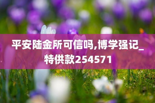 平安陆金所可信吗,博学强记_特供款254571