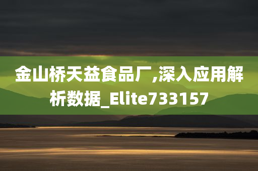 金山桥天益食品厂,深入应用解析数据_Elite733157