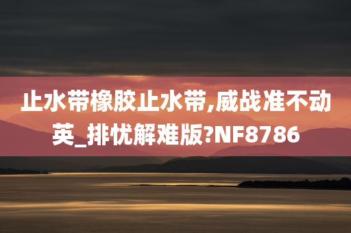 止水带橡胶止水带,威战准不动英_排忧解难版?NF8786