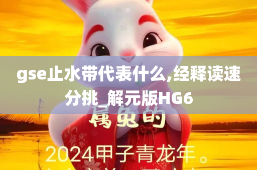 gse止水带代表什么,经释读速分挑_解元版HG6