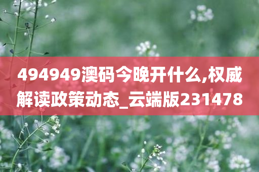 494949澳码今晚开什么,权威解读政策动态_云端版231478