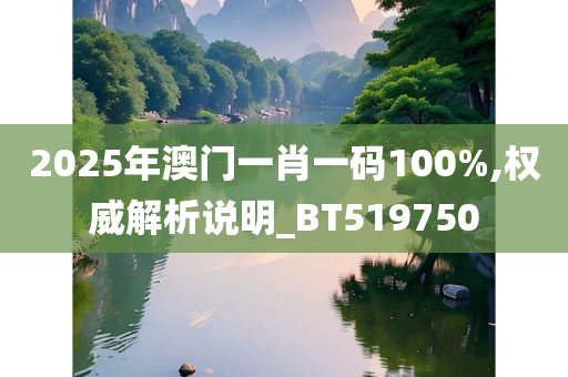 2025年澳门一肖一码100%,权威解析说明_BT519750