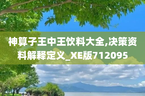 神算子王中王饮料大全,决策资料解释定义_XE版712095