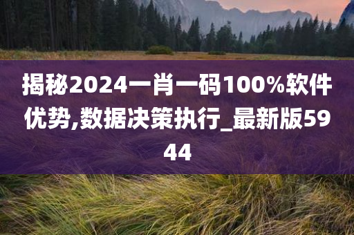 揭秘2024一肖一码100%软件优势,数据决策执行_最新版5944