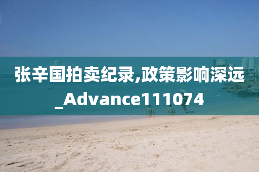 张辛国拍卖纪录,政策影响深远_Advance111074