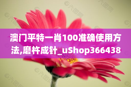 澳门平特一肖100准确使用方法,磨杵成针_uShop366438