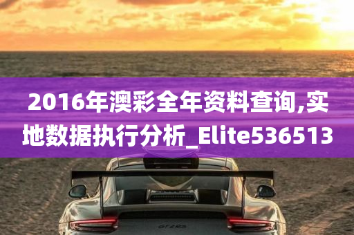 2016年澳彩全年资料查询,实地数据执行分析_Elite536513