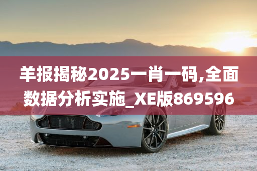 羊报揭秘2025一肖一码,全面数据分析实施_XE版869596