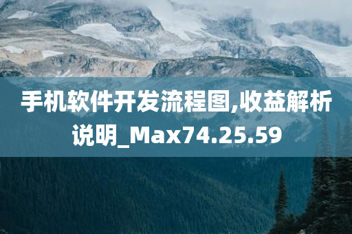 手机软件开发流程图,收益解析说明_Max74.25.59