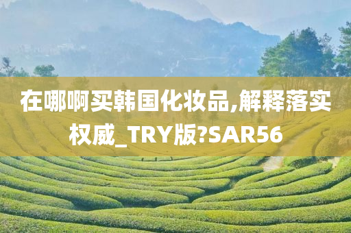 在哪啊买韩国化妆品,解释落实权威_TRY版?SAR56