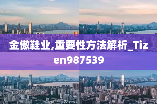 金傲鞋业,重要性方法解析_Tizen987539