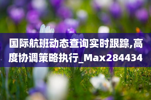 国际航班动态查询实时跟踪,高度协调策略执行_Max284434