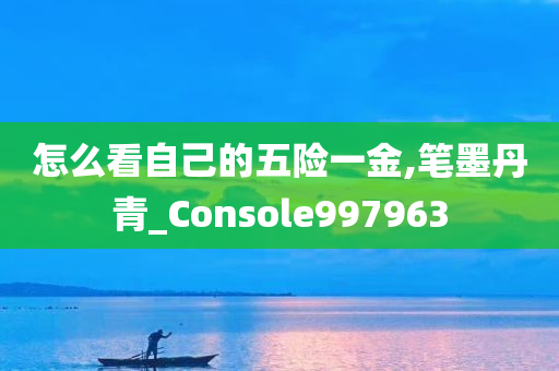 怎么看自己的五险一金,笔墨丹青_Console997963