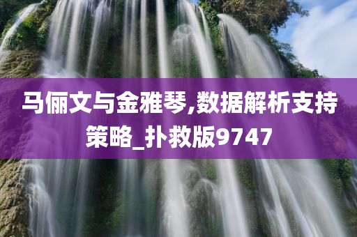 马俪文与金雅琴,数据解析支持策略_扑救版9747