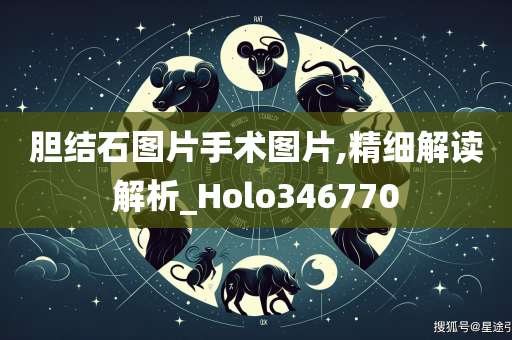 胆结石图片手术图片,精细解读解析_Holo346770