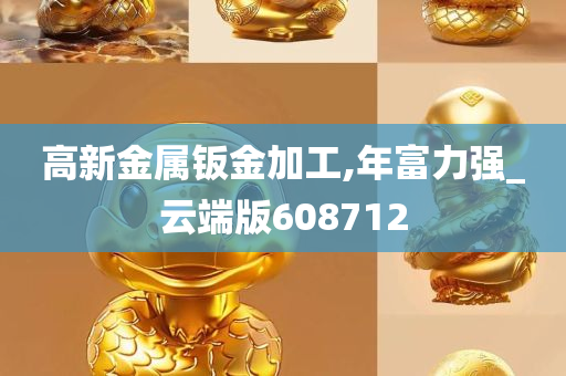 高新金属钣金加工,年富力强_云端版608712