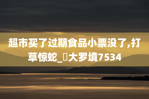 超市买了过期食品小票没了,打草惊蛇_‌大罗境7534