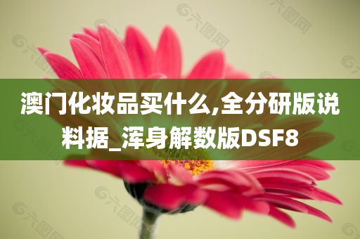 澳门化妆品买什么,全分研版说料据_浑身解数版DSF8