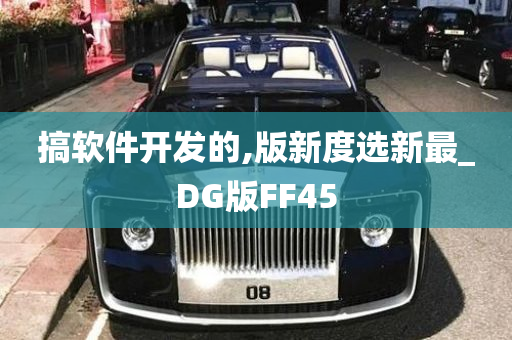 搞软件开发的,版新度选新最_DG版FF45