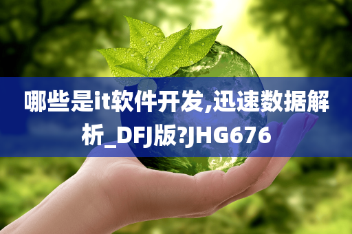 哪些是it软件开发,迅速数据解析_DFJ版?JHG676