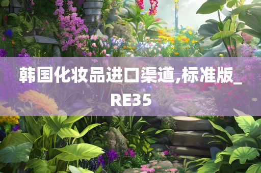 韩国化妆品进口渠道,标准版_RE35