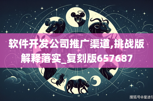 软件开发公司推广渠道,挑战版解释落实_复刻版657687