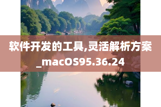 软件开发的工具,灵活解析方案_macOS95.36.24