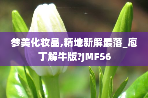 参美化妆品,精地新解最落_庖丁解牛版?JMF56