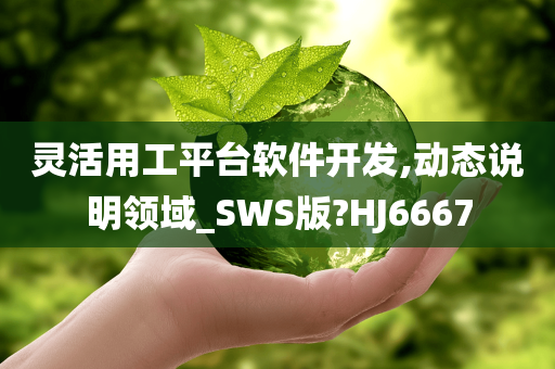 灵活用工平台软件开发,动态说明领域_SWS版?HJ6667