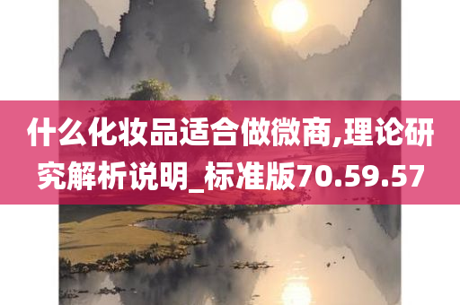 什么化妆品适合做微商,理论研究解析说明_标准版70.59.57