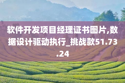 软件开发项目经理证书图片,数据设计驱动执行_挑战款51.73.24