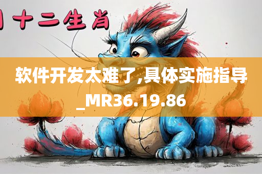 软件开发太难了,具体实施指导_MR36.19.86