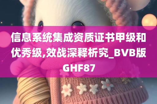 信息系统集成资质证书甲级和优秀级,效战深释析究_BVB版GHF87