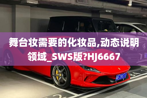 舞台妆需要的化妆品,动态说明领域_SWS版?HJ6667