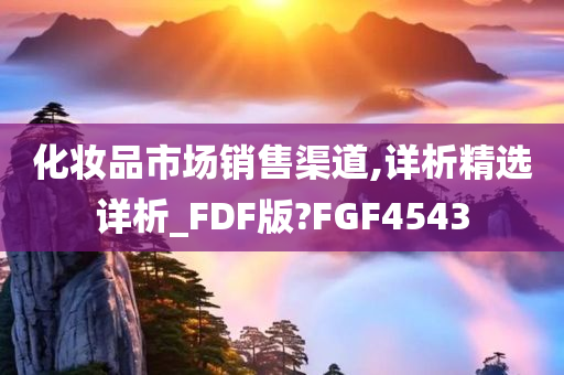 化妆品市场销售渠道,详析精选详析_FDF版?FGF4543