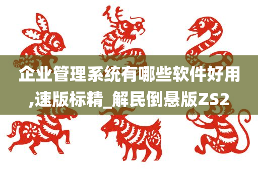 企业管理系统有哪些软件好用,速版标精_解民倒悬版ZS2