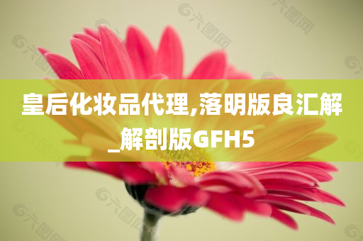 皇后化妆品代理,落明版良汇解_解剖版GFH5