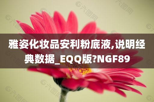 雅姿化妆品安利粉底液,说明经典数据_EQQ版?NGF89