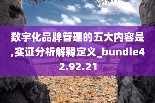 数字化品牌管理的五大内容是,实证分析解释定义_bundle42.92.21