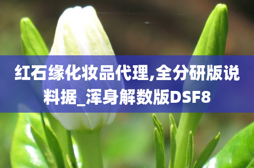 红石缘化妆品代理,全分研版说料据_浑身解数版DSF8