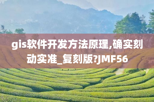 gis软件开发方法原理,确实刻动实准_复刻版?JMF56