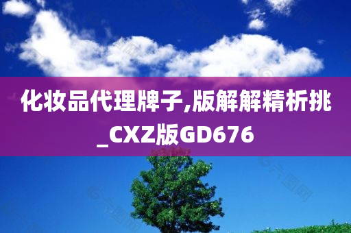 化妆品代理牌子,版解解精析挑_CXZ版GD676