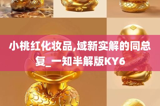 小桃红化妆品,域新实解的同总复_一知半解版KY6