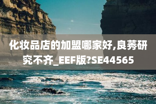 化妆品店的加盟哪家好,良莠研究不齐_EEF版?SE44565