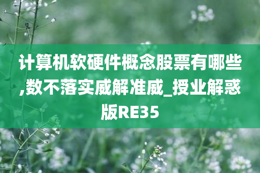 计算机软硬件概念股票有哪些,数不落实威解准威_授业解惑版RE35