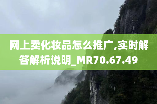 网上卖化妆品怎么推广,实时解答解析说明_MR70.67.49