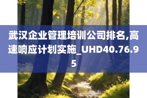 武汉企业管理培训公司排名,高速响应计划实施_UHD40.76.95