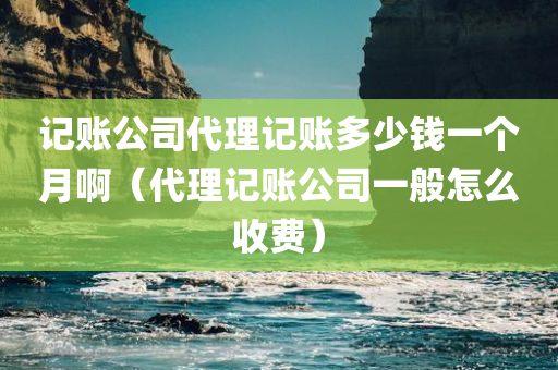 记账公司代理记账多少钱一个月啊（代理记账公司一般怎么收费）