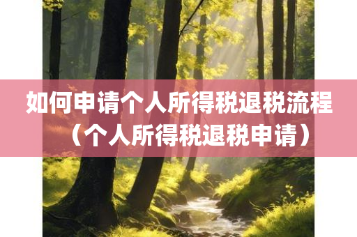 如何申请个人所得税退税流程（个人所得税退税申请）